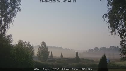 2025-08-09