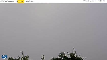 2025-07-30