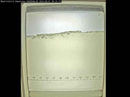 2025-08-01