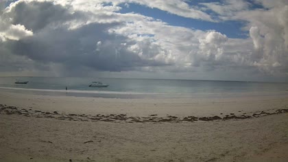 2026-05-08