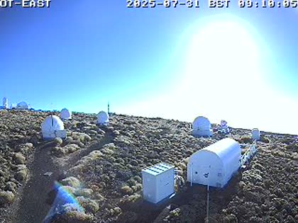 2025-07-31