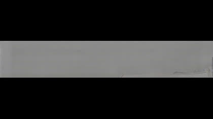2025-07-28
