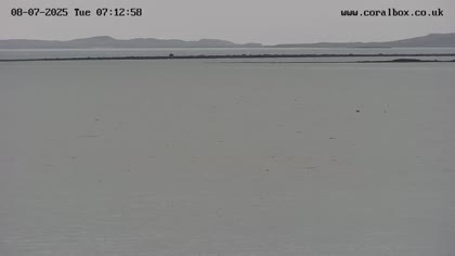 2025-07-08