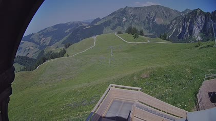 2025-06-22