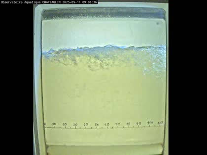 2025-05-11