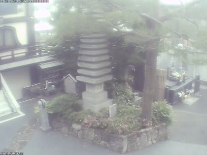 2025-05-08