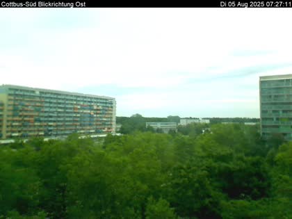 2025-08-05