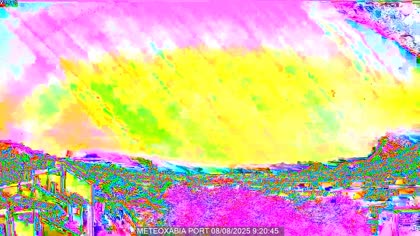 2025-08-08