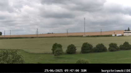 2025-06-29