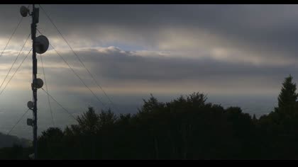 2025-07-19