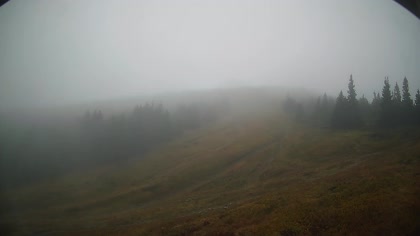 2025-10-06