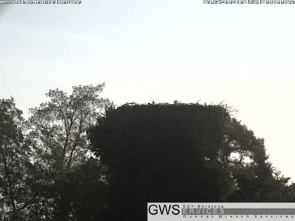 2025-08-10