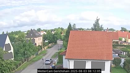 2025-08-03