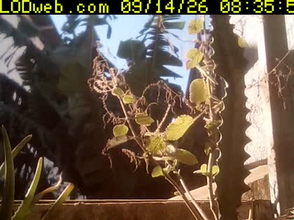 2026-09-14