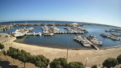 2026-08-26