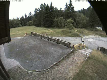 2025-07-25
