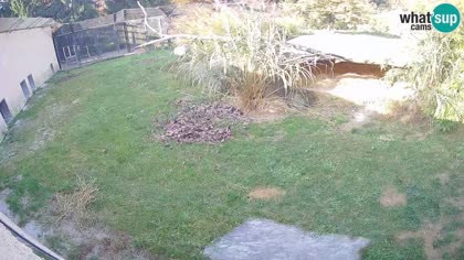 2025-10-16