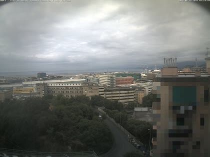 2025-06-24