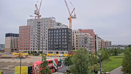 2025-06-11