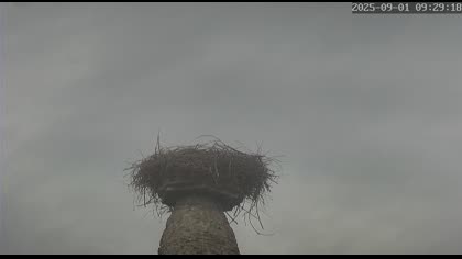 2025-09-01