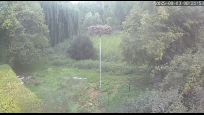 2025-08-03
