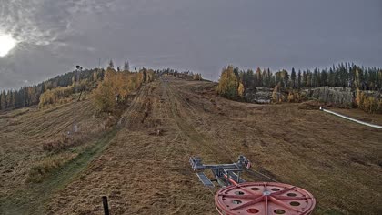 2025-10-07