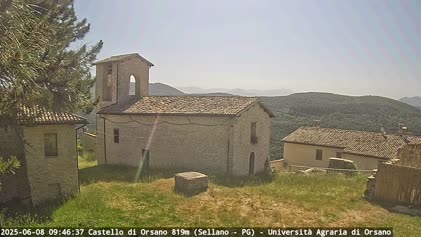2025-06-08