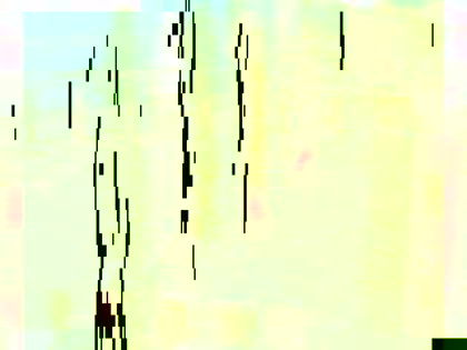 2025-05-13