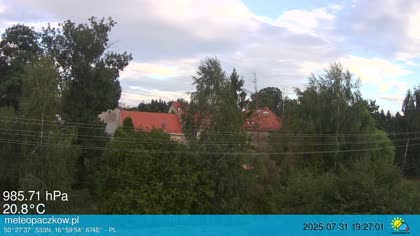 2025-07-31