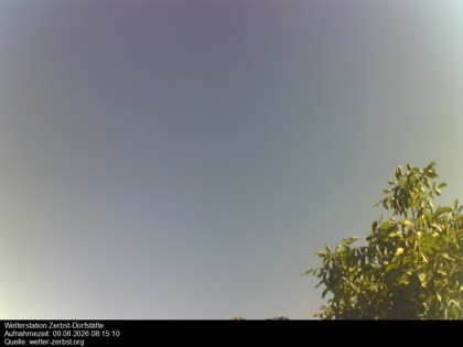2026-08-09