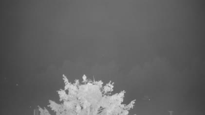 2025-05-04