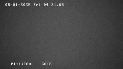 2025-08-01