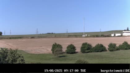 2025-08-19