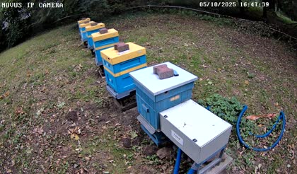 2025-10-05