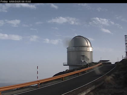 2025-08-08