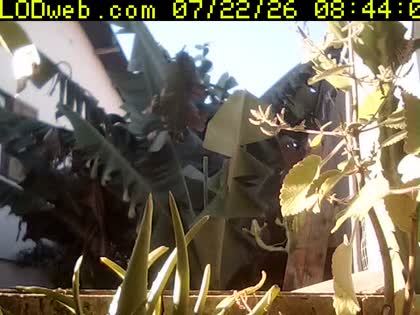 2026-07-22