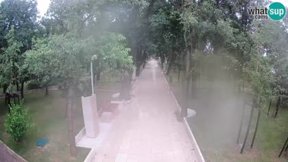 2026-06-03