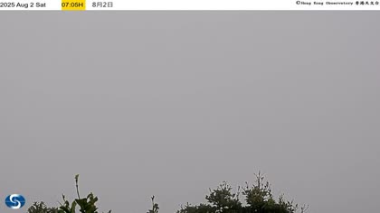 2025-08-02