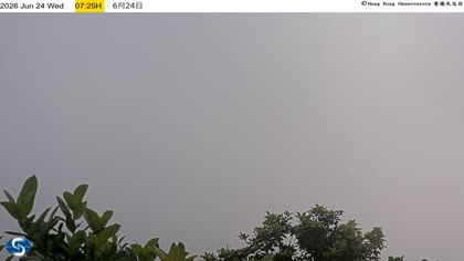 2026-06-24