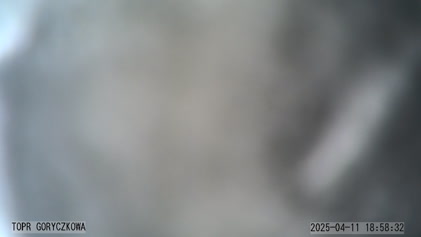 2025-04-11