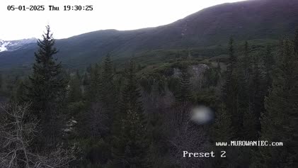 2025-05-01