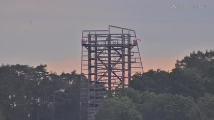 2026-06-10