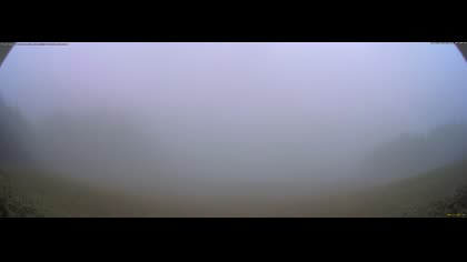 2025-09-29