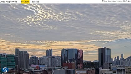 2026-08-05