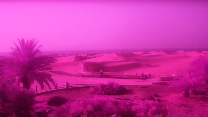 2026-07-24