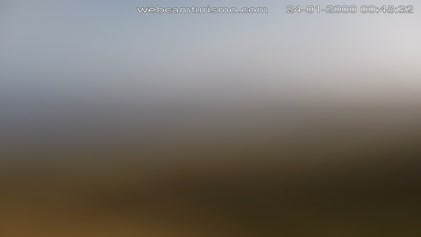 2025-04-25