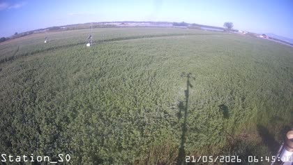 2026-05-21