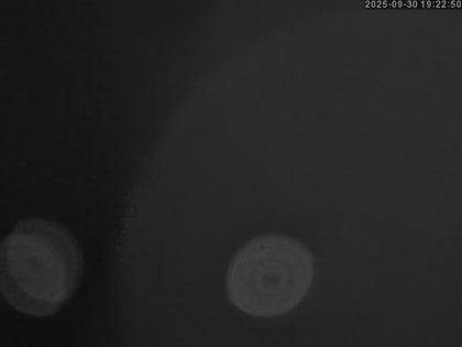 2025-10-01