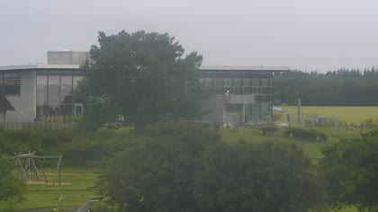 2025-07-08