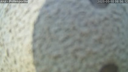 2025-05-10
